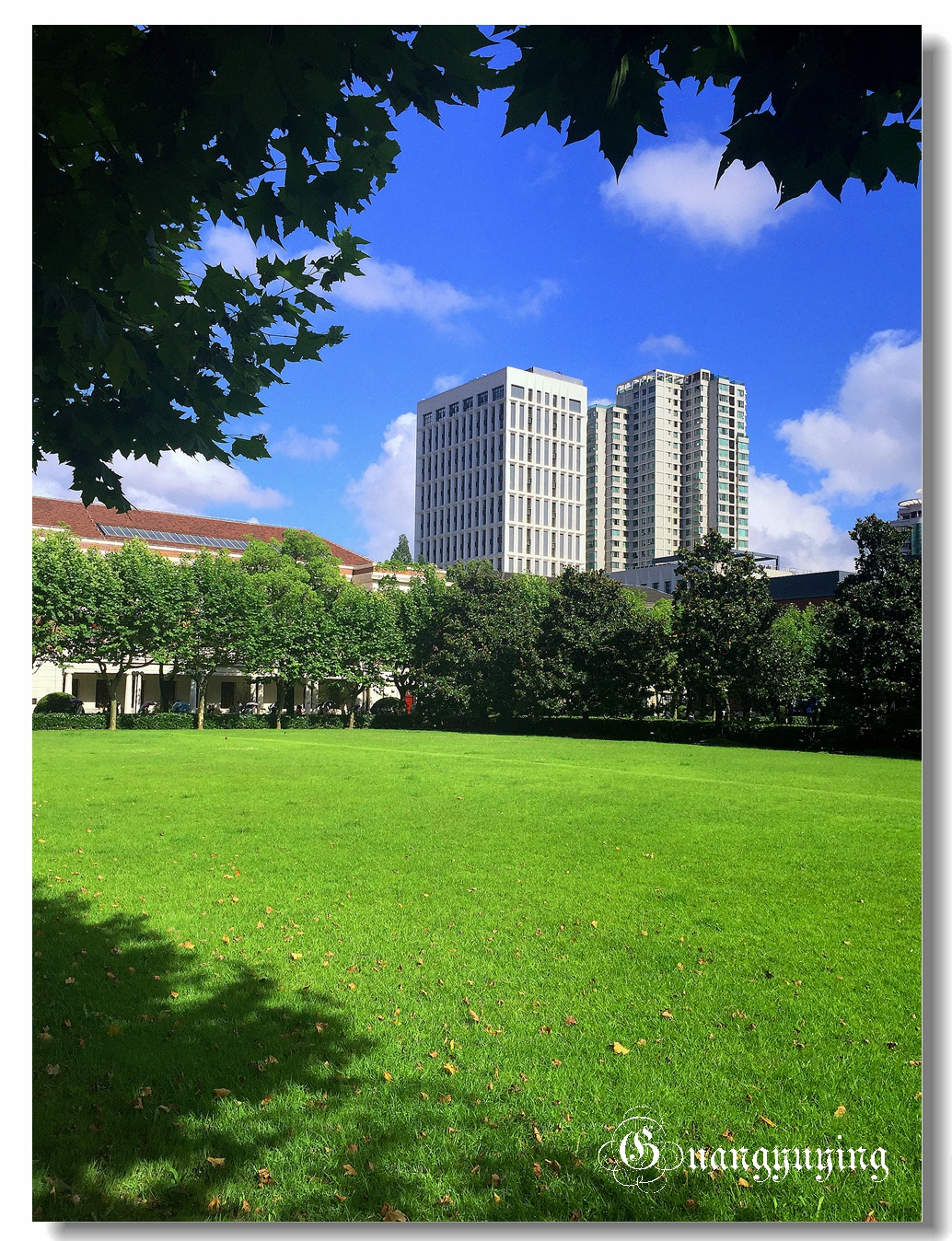 刚拍的一组单位院内的景色