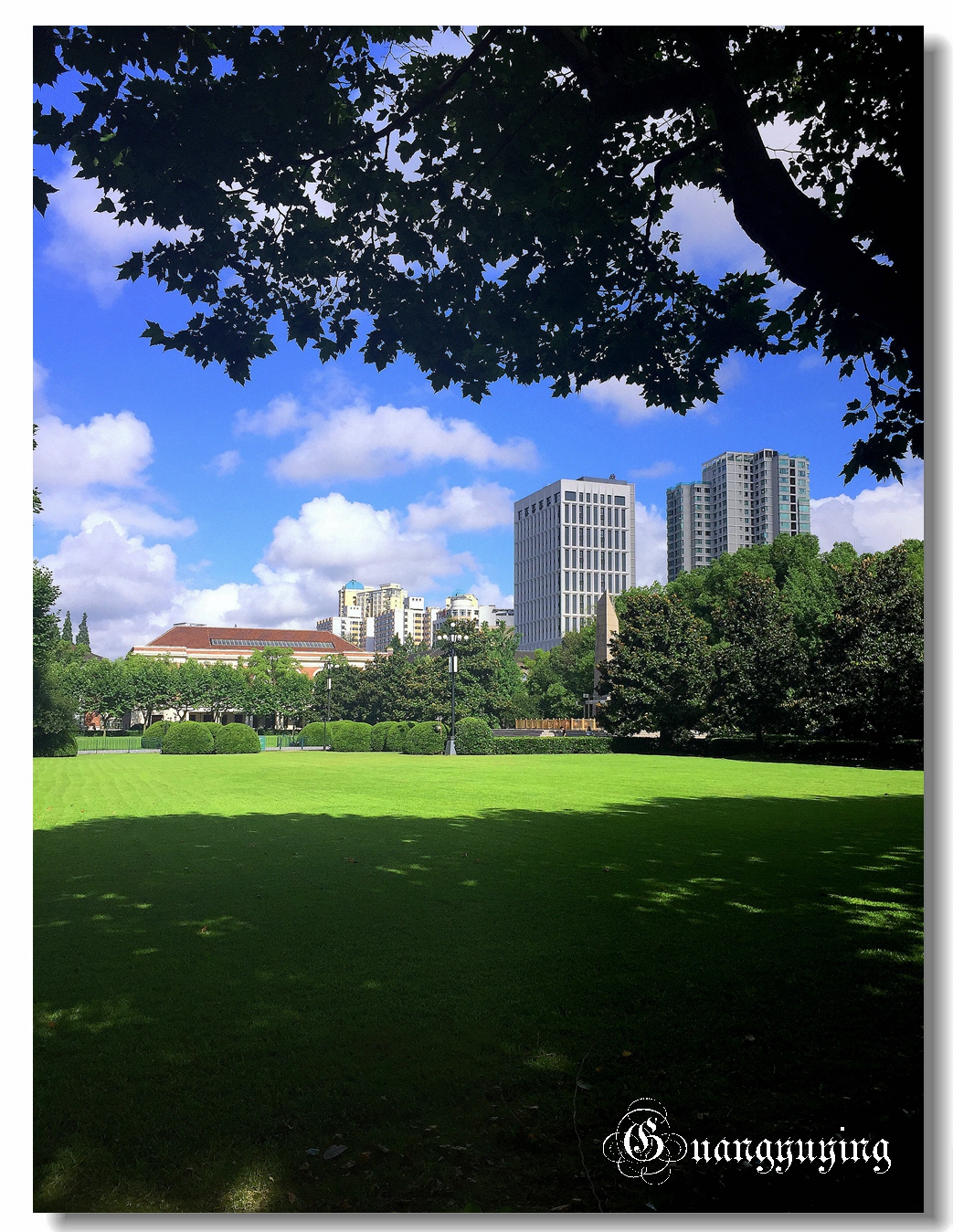 刚拍的一组单位院内的景色