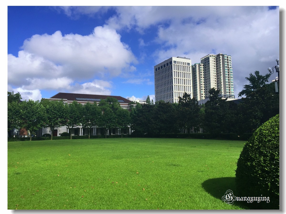 刚拍的一组单位院内的景色