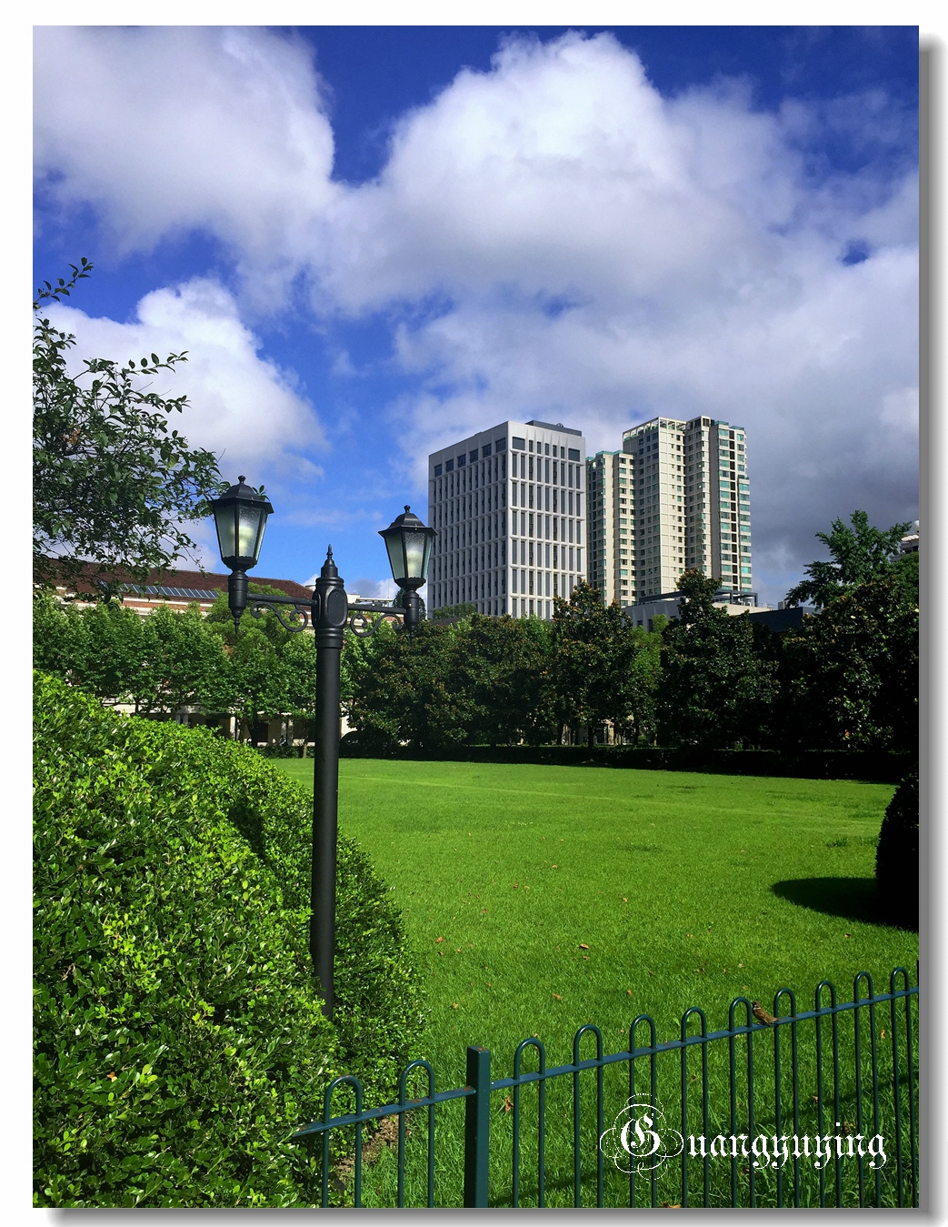 刚拍的一组单位院内的景色