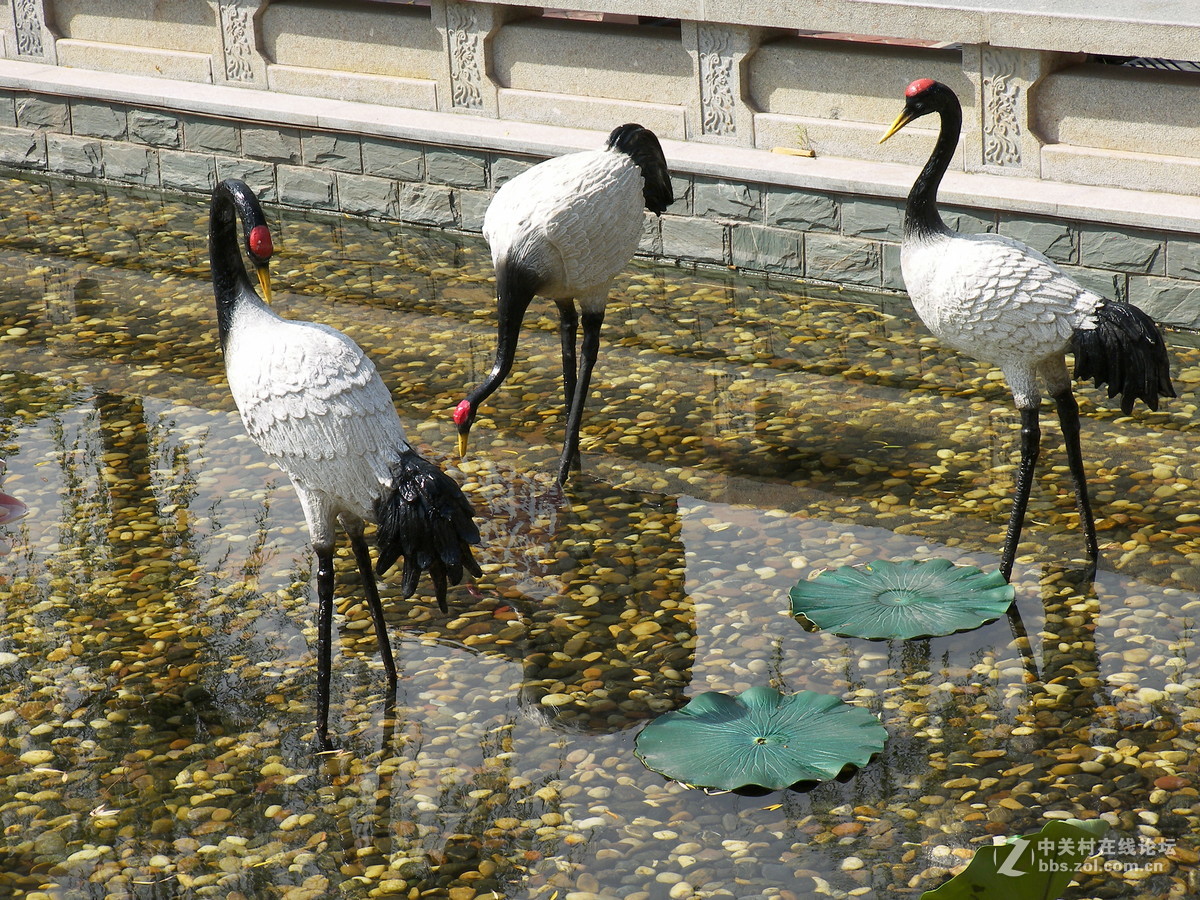 宁波方特乐园几张