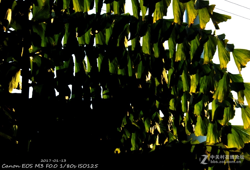 《冬日暖阳》（三）