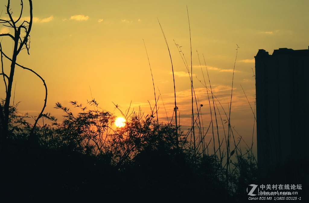 《冬日暖阳》（三）