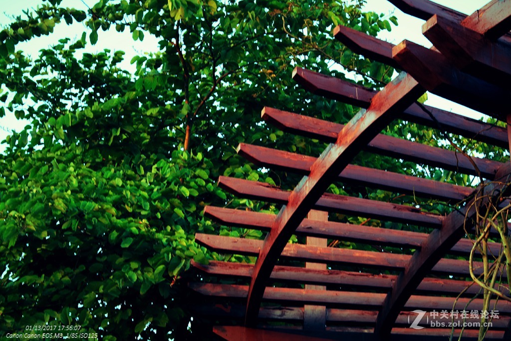 《冬日暖阳》（三）