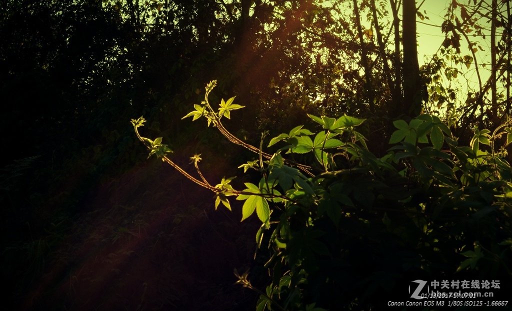 《冬日暖阳》（三）