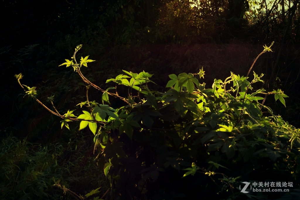 《冬日暖阳》（三）