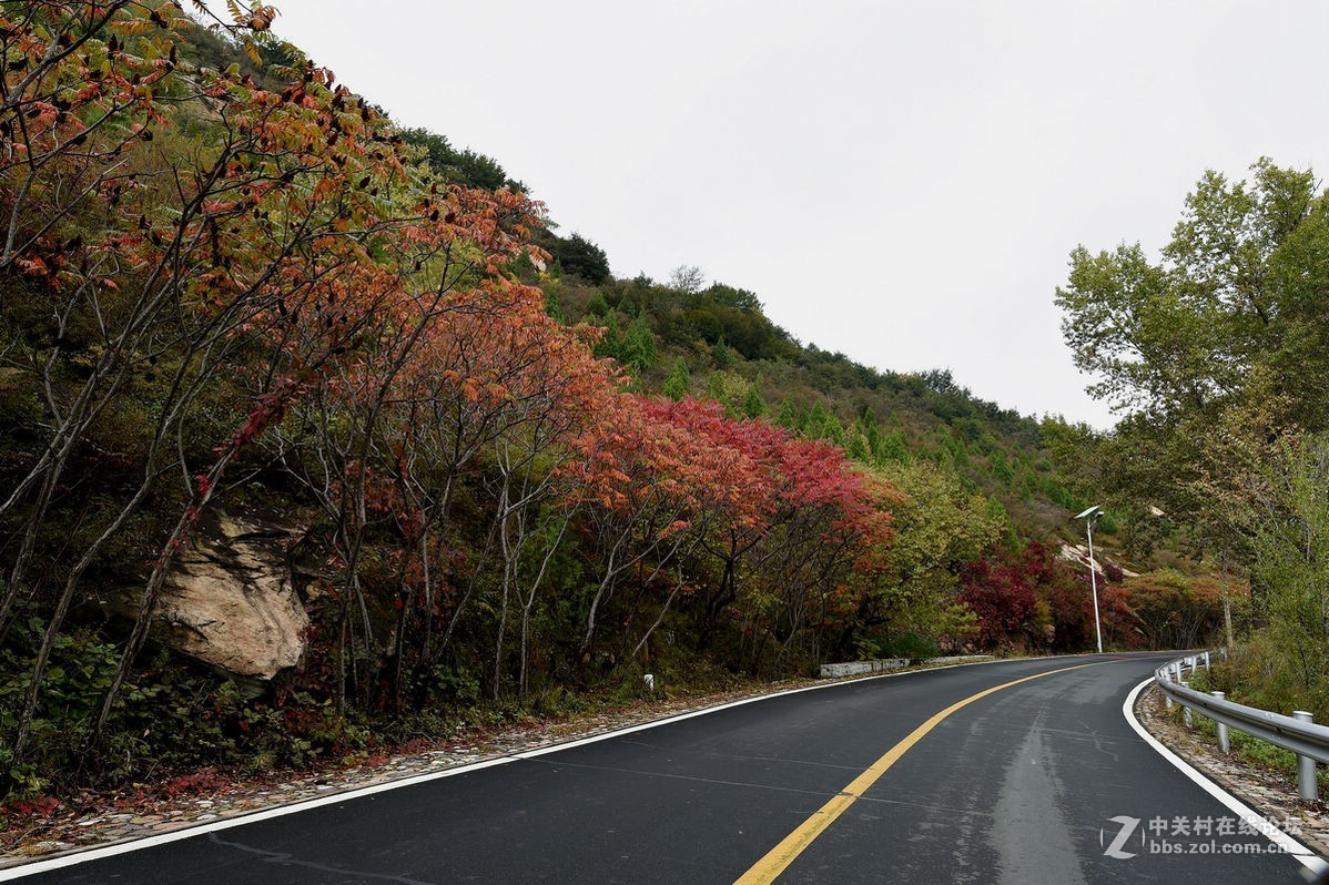 花海里面看秋色