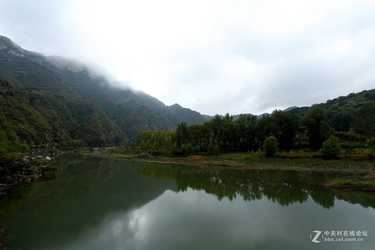 花海里面看秋色