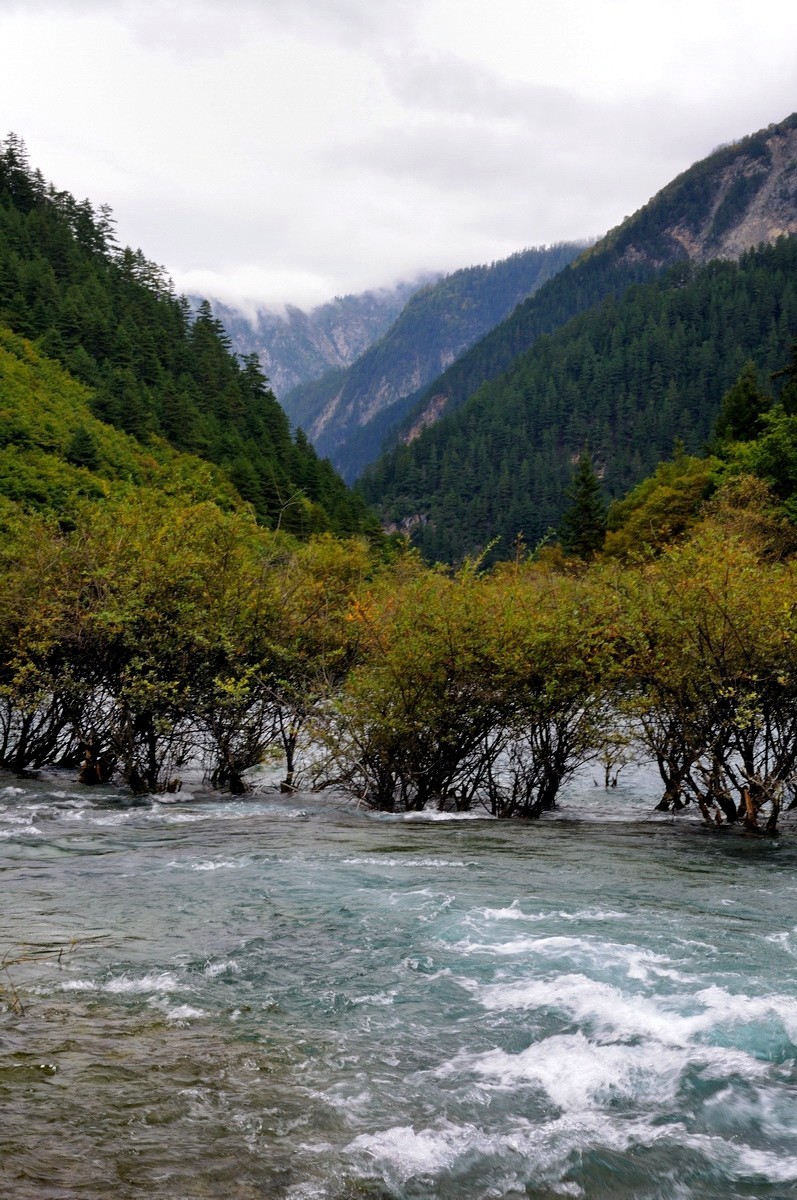 川西游——九寨沟