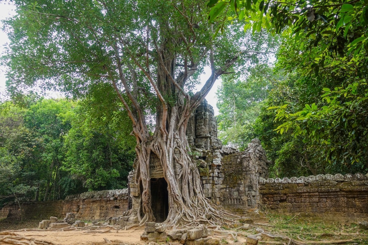 2018-03-28 圣剑寺、涅槃宫、塔巡寺、东梅奔寺、比粒寺、豆蔻寺、皇家浴池