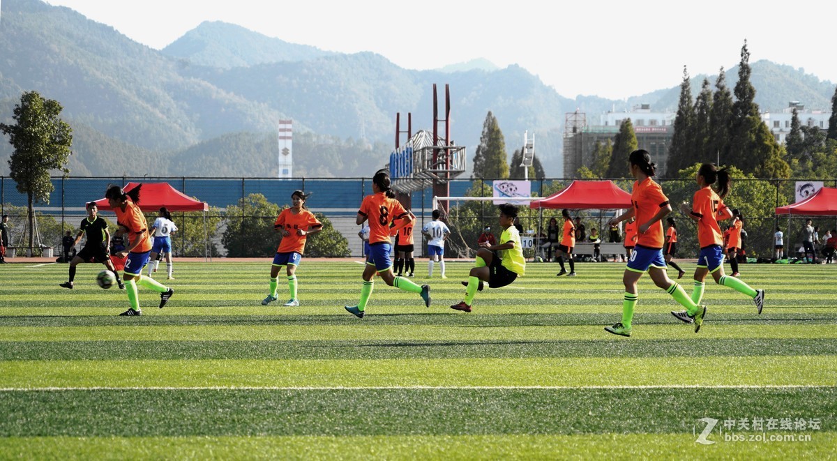 绿茵场上一一翩翩少年挥汗如雨，奋力拼搏