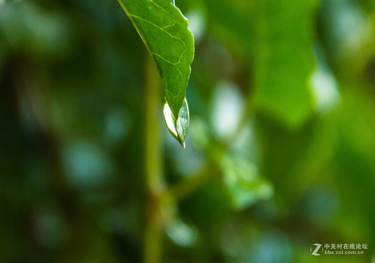 影  ·物 语 —— 滴 嗒 （ 十 三 ）