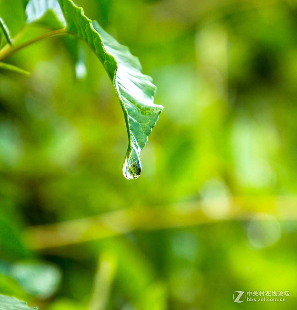 影  ·物 语 —— 滴 嗒 （ 十 三 ）