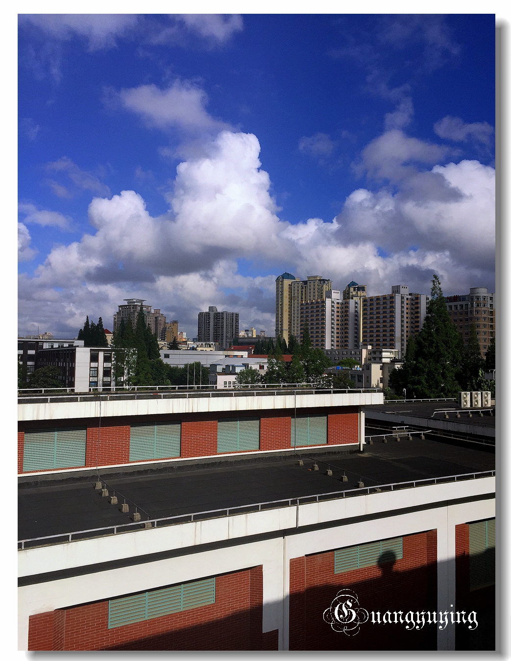 刚拍的一组单位院内的景色