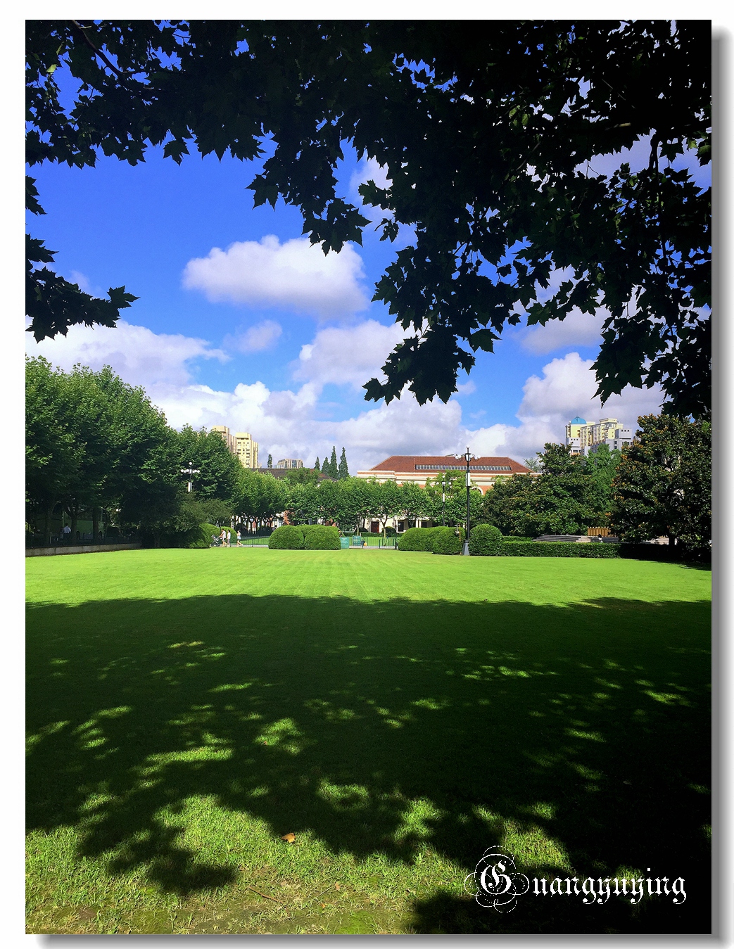 刚拍的一组单位院内的景色