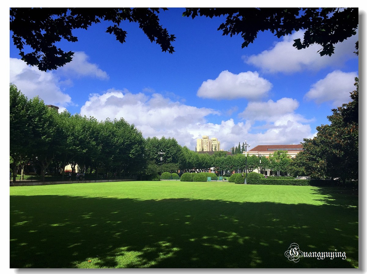 刚拍的一组单位院内的景色