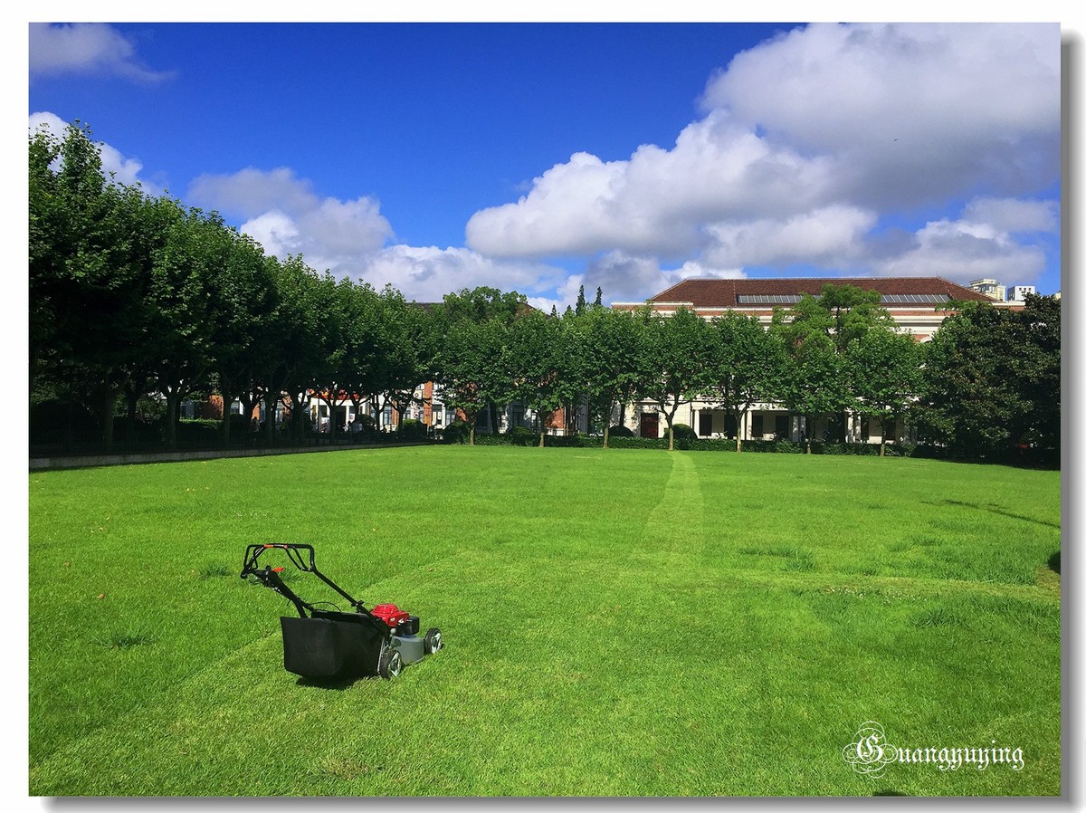 刚拍的一组单位院内的景色