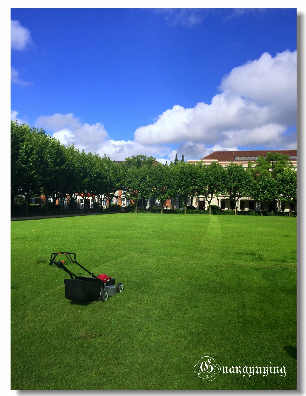 刚拍的一组单位院内的景色