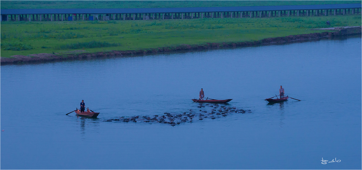 版主 请进！  百牛渡江  是 1DX2 拍摄， 属于 风光 和 人文照片， 为什么删除？