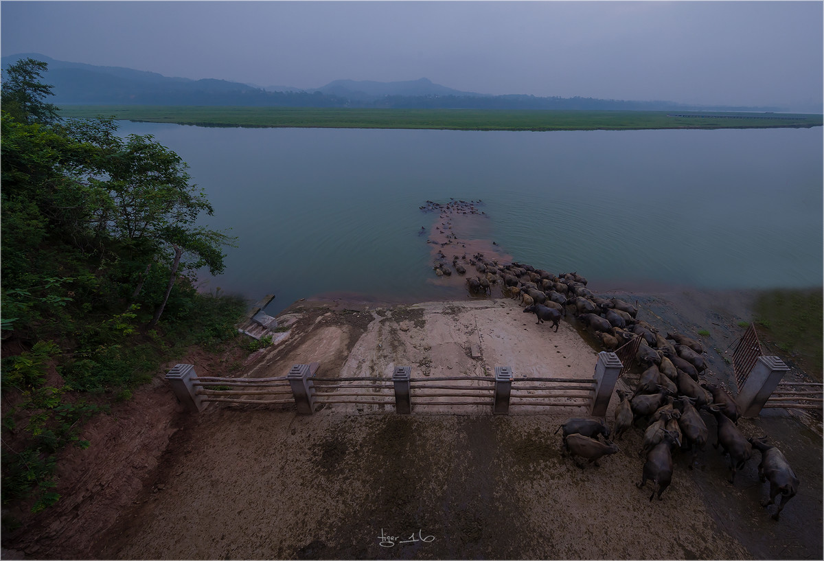 版主 请进！  百牛渡江  是 1DX2 拍摄， 属于 风光 和 人文照片， 为什么删除？