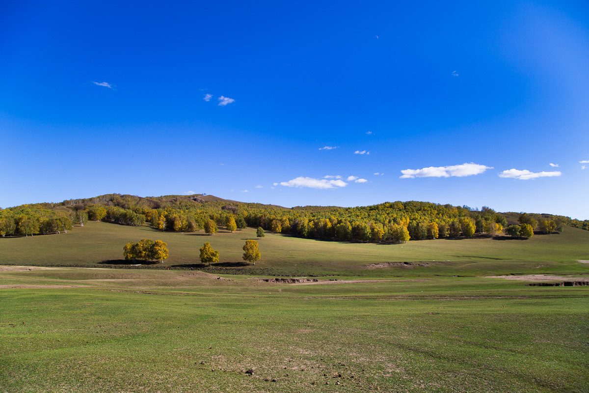2016-10-31坝上草原—杨树背