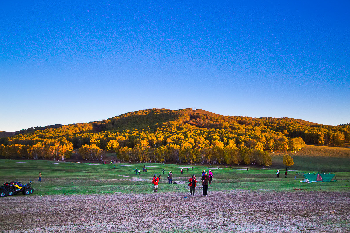 2016-10-31坝上草原—杨树背