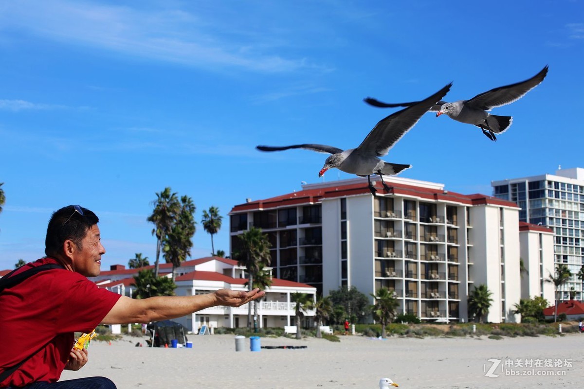 人欢鸥歌---美国之旅系列片之111