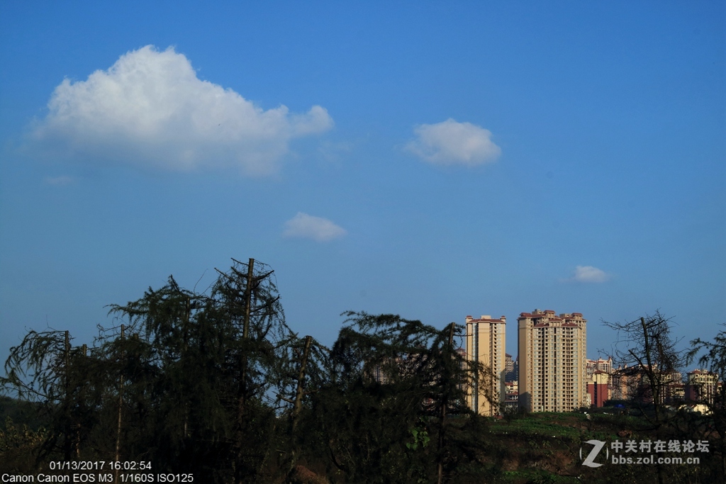 《冬日暖阳》（三）