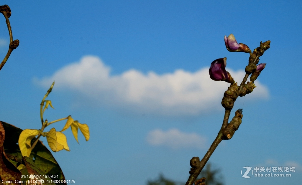 《冬日暖阳》（三）