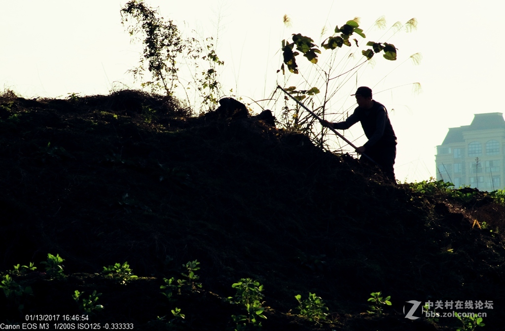 《冬日暖阳》（三）