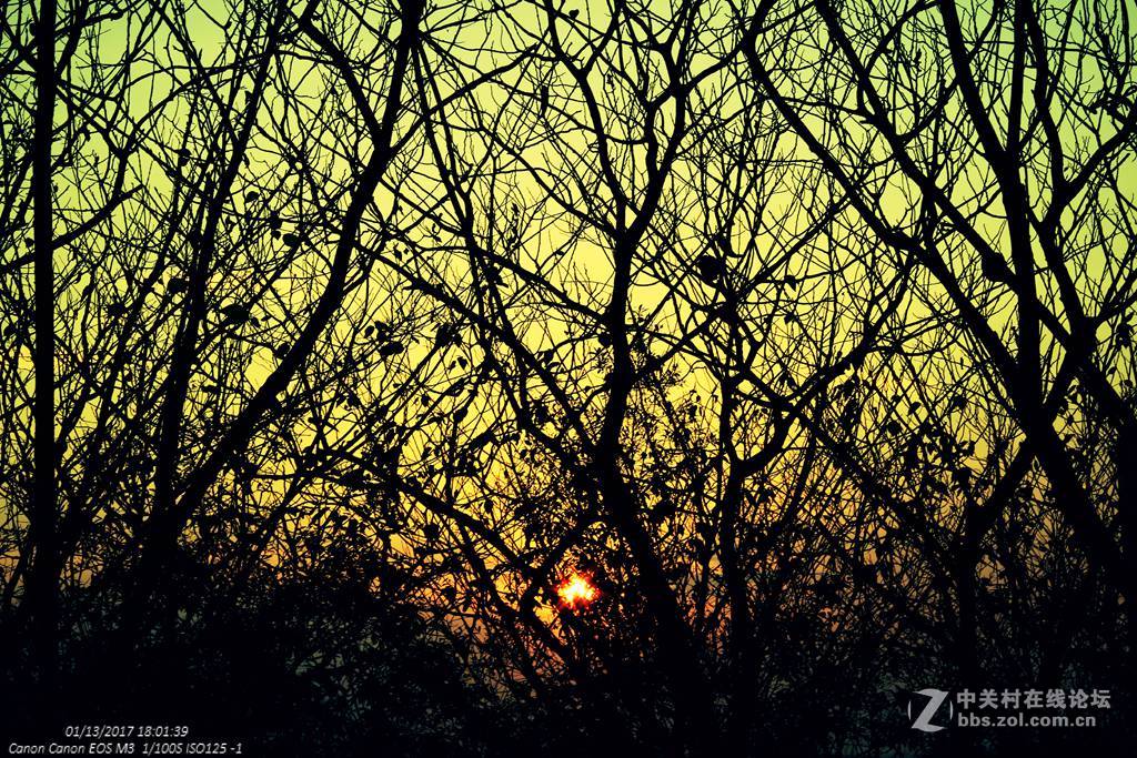 《冬日暖阳》（三）