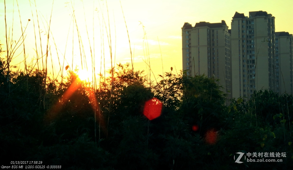 《冬日暖阳》（三）