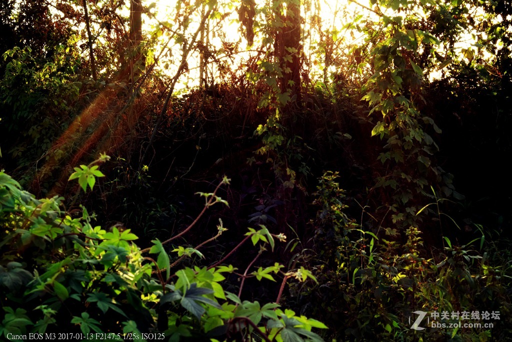 《冬日暖阳》（三）