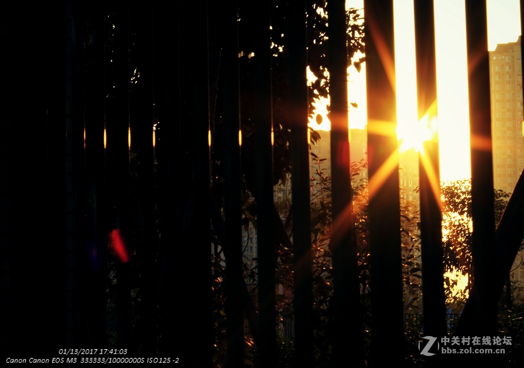 《冬日暖阳》（三）