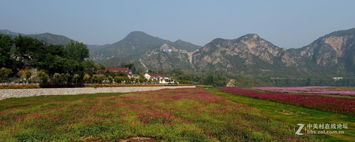 花海里面看秋色