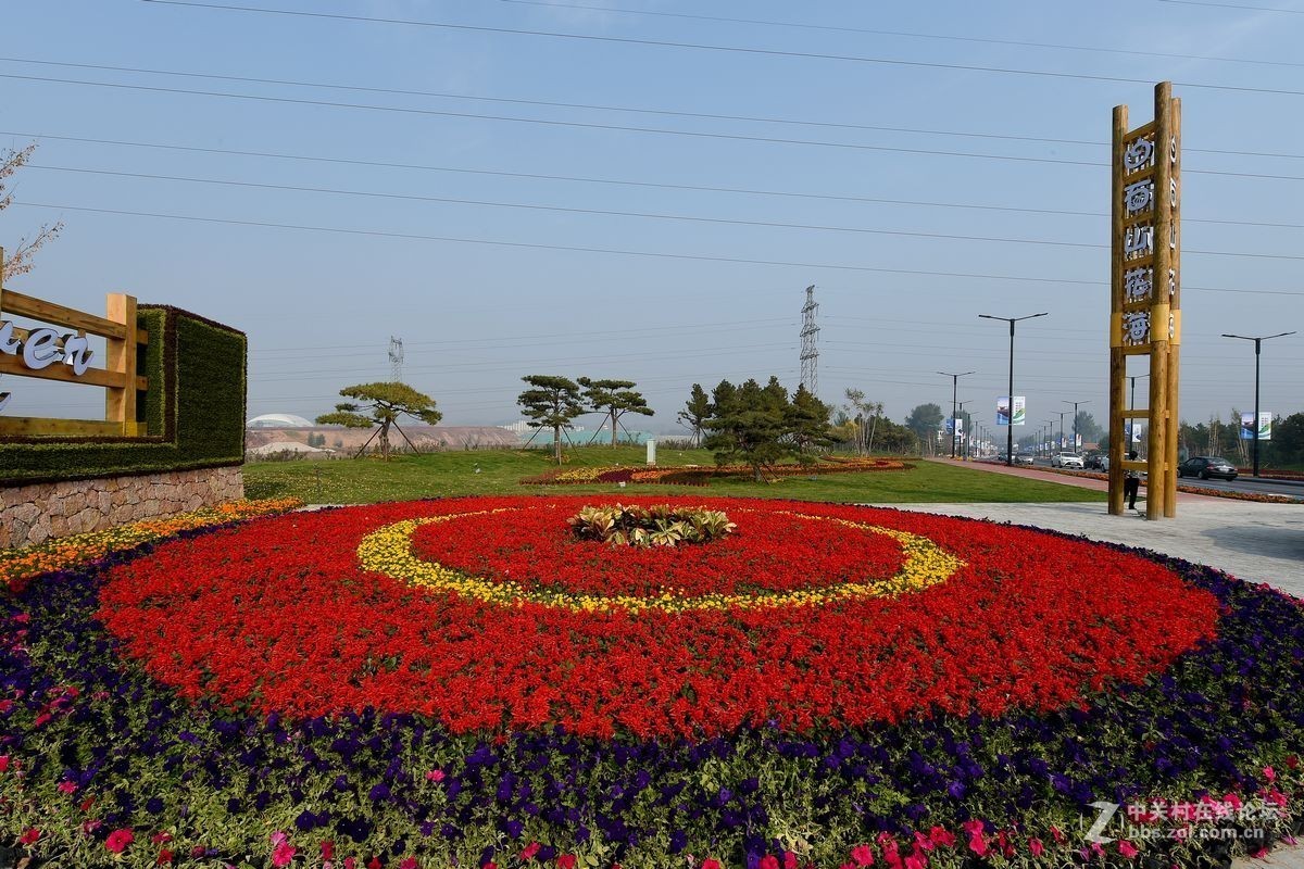 花海里面看秋色