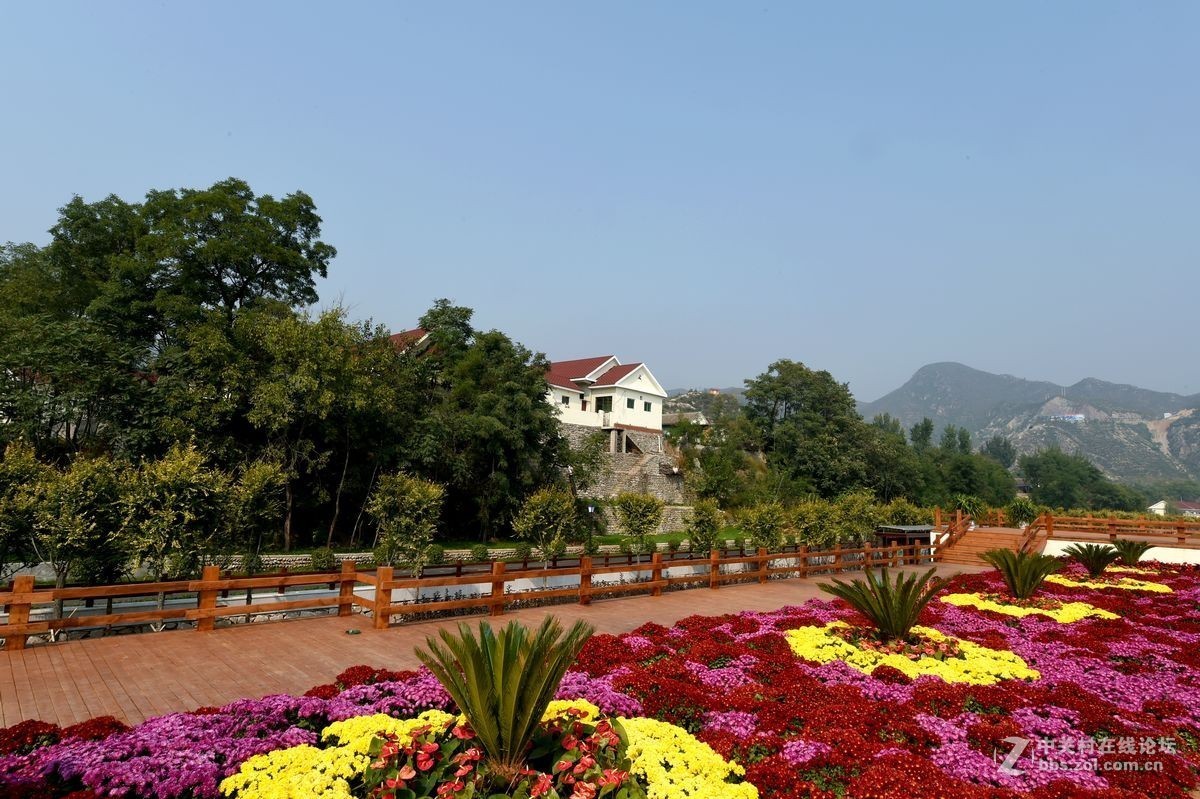 花海里面看秋色