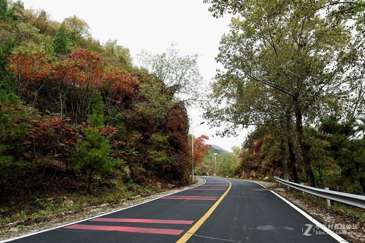 花海里面看秋色