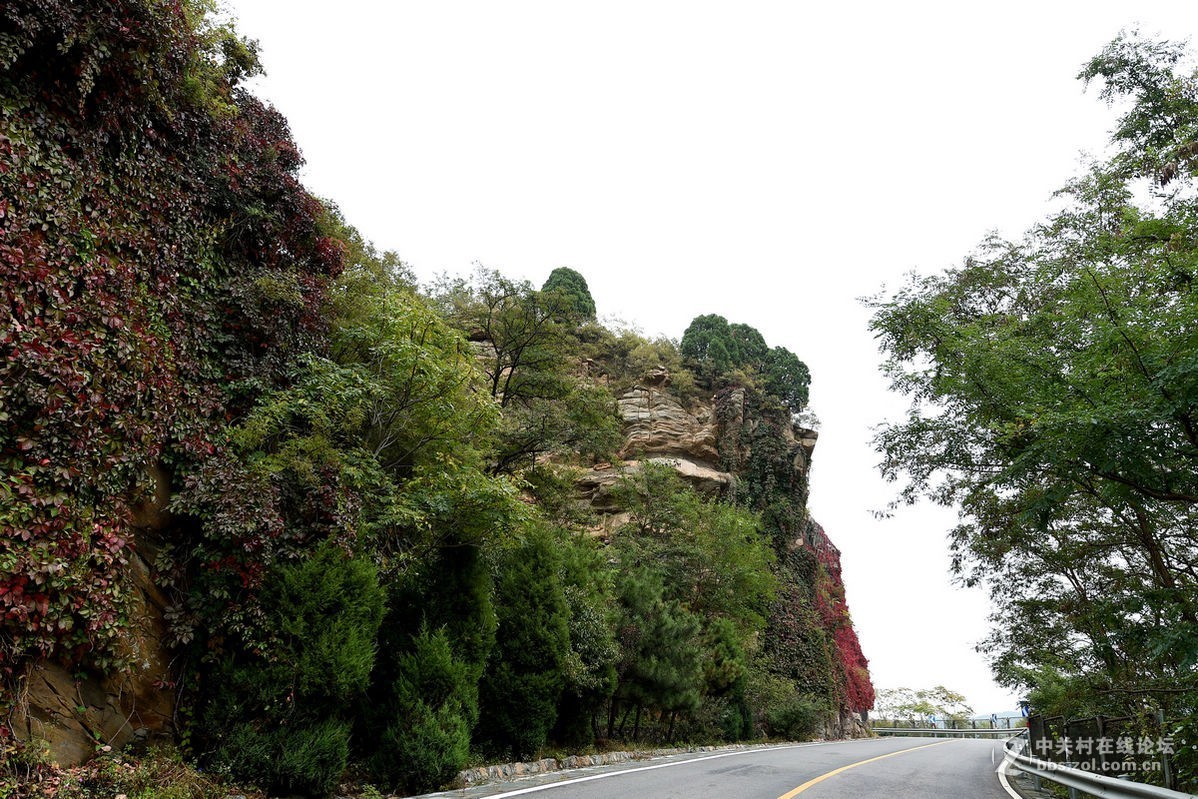 花海里面看秋色