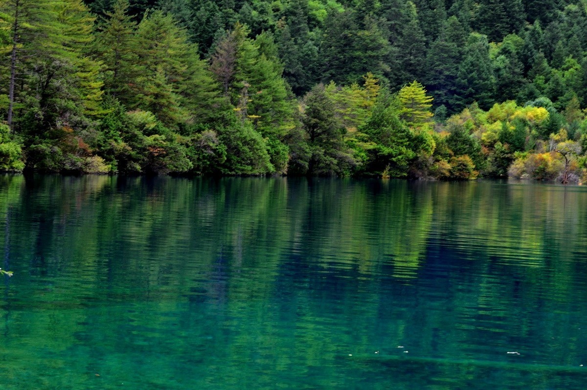 川西游——九寨沟
