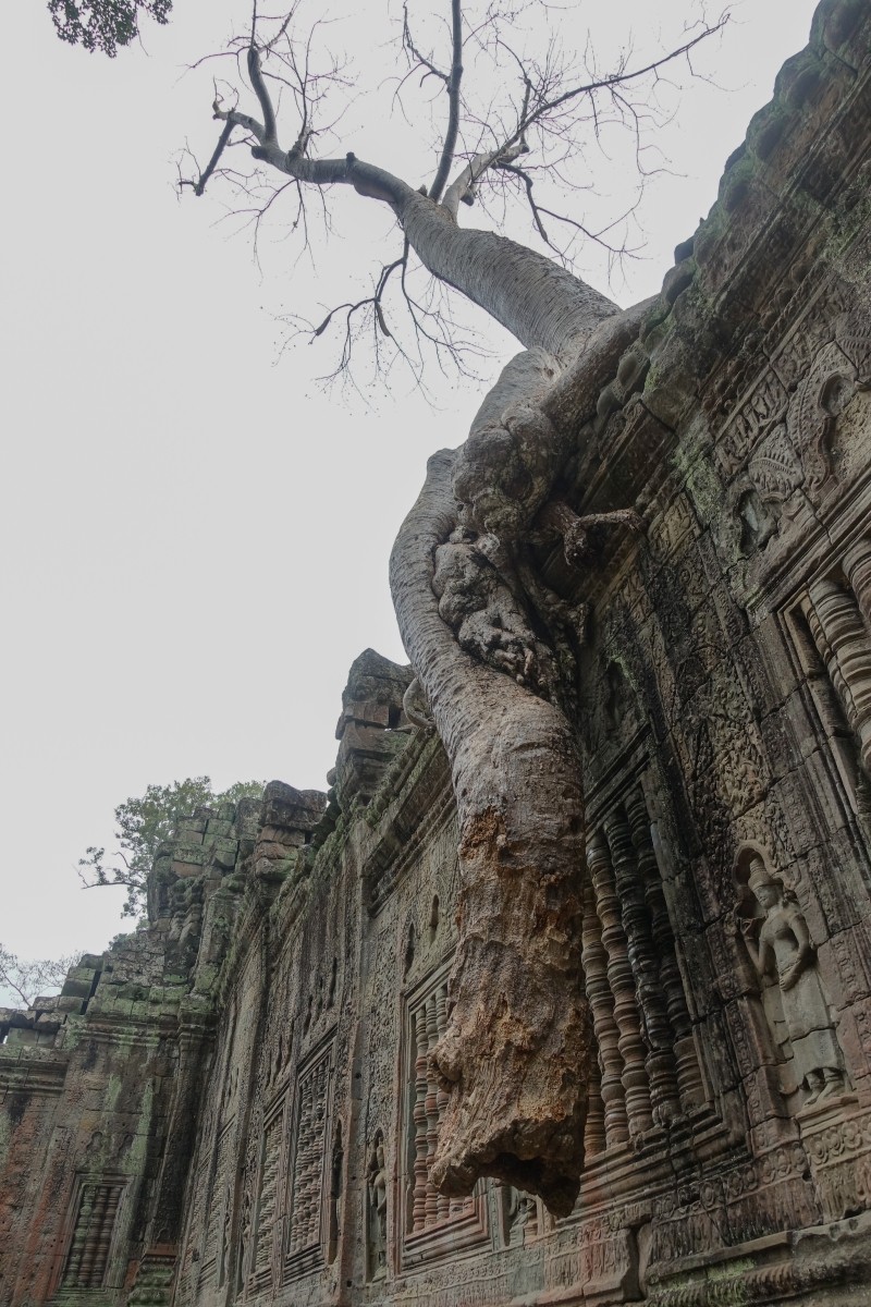 2018-03-28 圣剑寺、涅槃宫、塔巡寺、东梅奔寺、比粒寺、豆蔻寺、皇家浴池