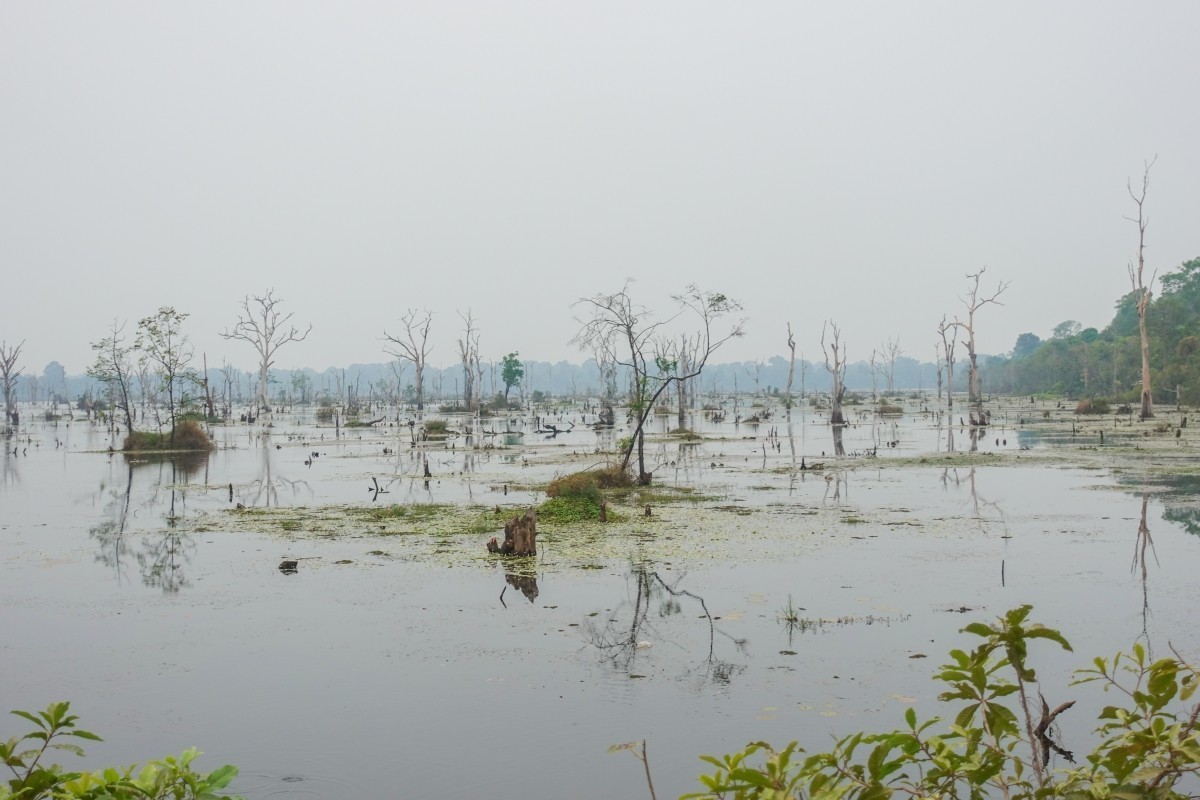 2018-03-28 圣剑寺、涅槃宫、塔巡寺、东梅奔寺、比粒寺、豆蔻寺、皇家浴池