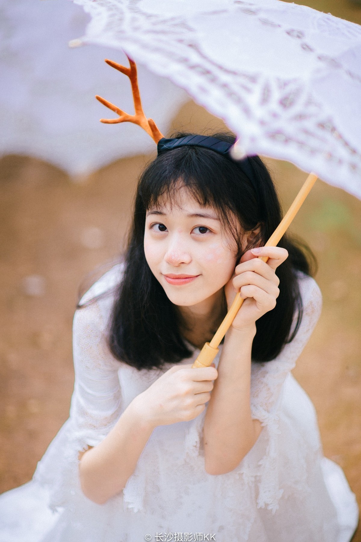 迷。鹿