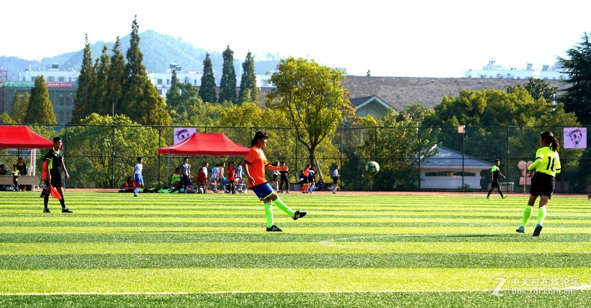绿茵场上一一翩翩少年挥汗如雨，奋力拼搏