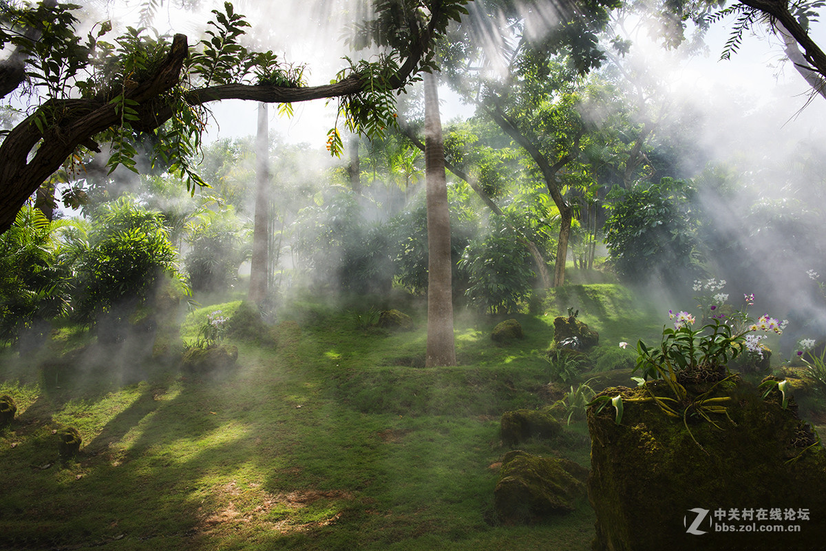 云雾山中，犹如仙境