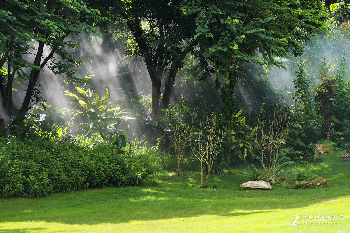 云雾山中，犹如仙境