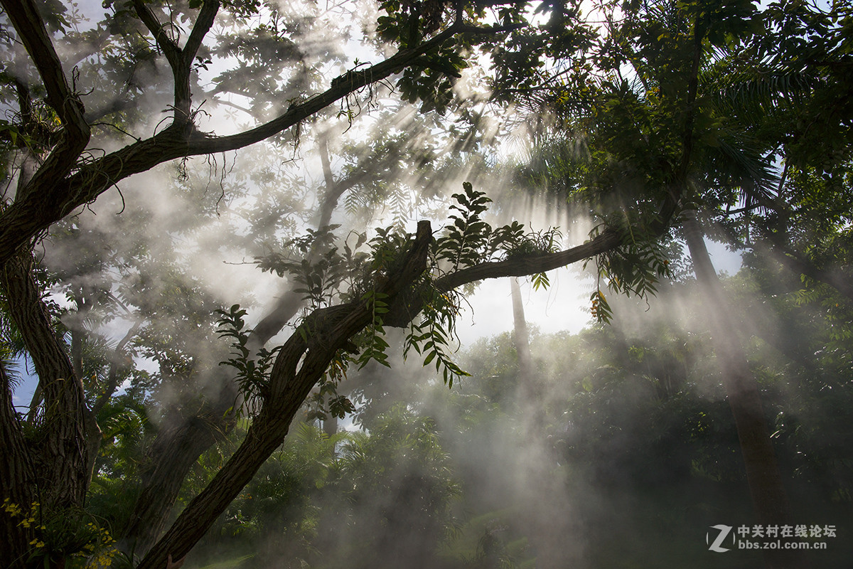 云雾山中，犹如仙境