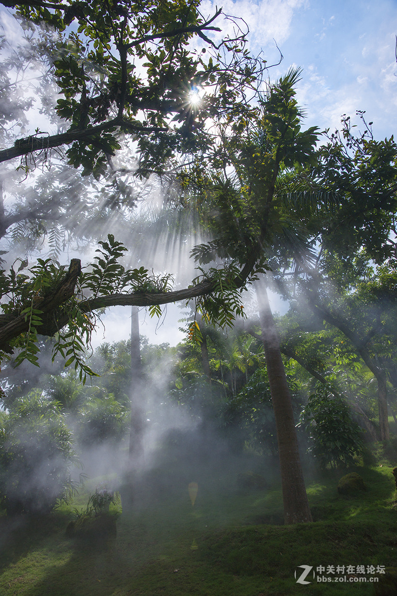 云雾山中，犹如仙境