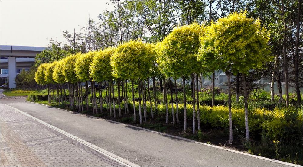 休闲随拍（296）