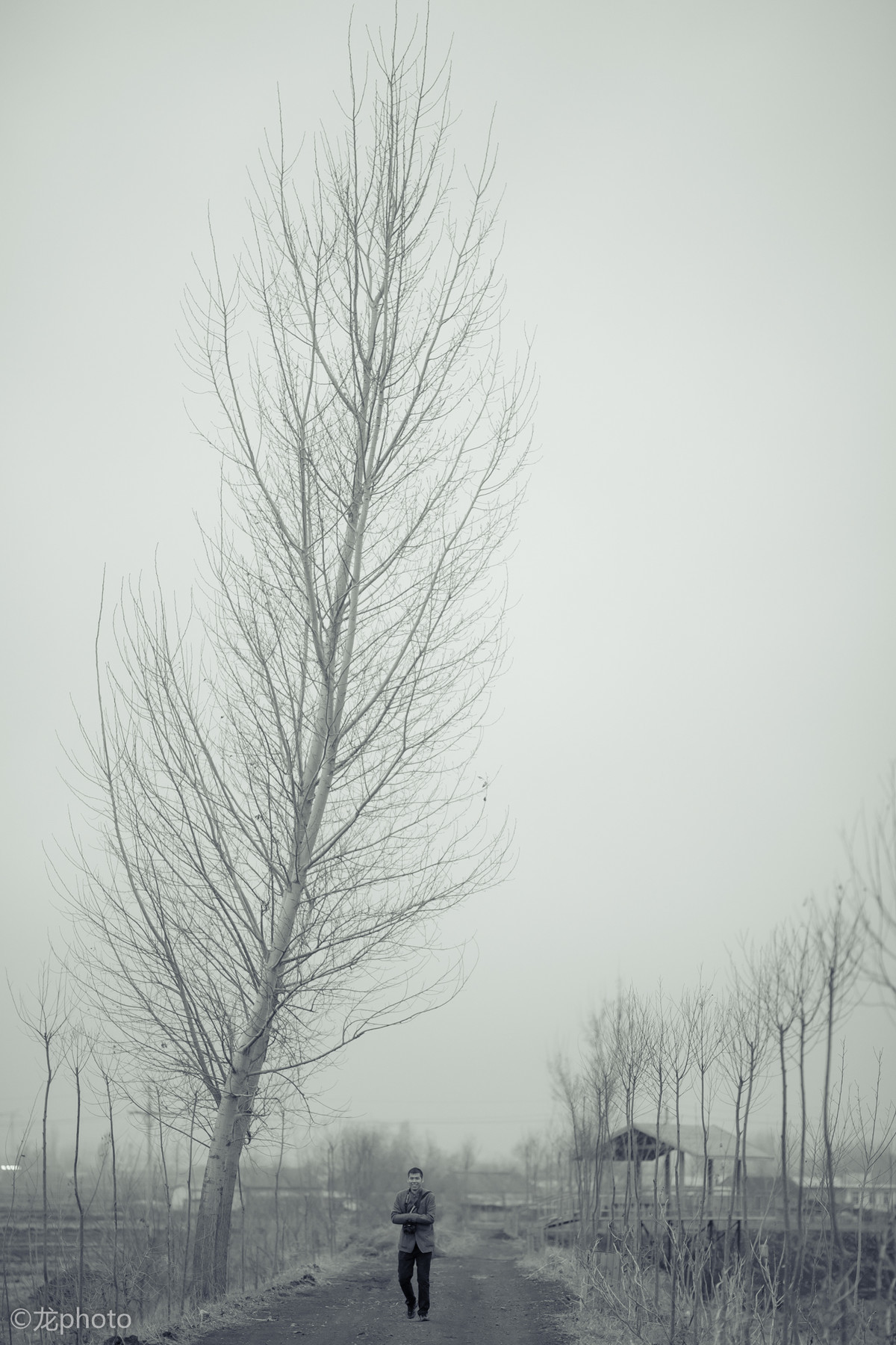 龙photo  《135L 练习贴 》